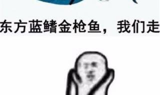 象拔蚌是什么梗